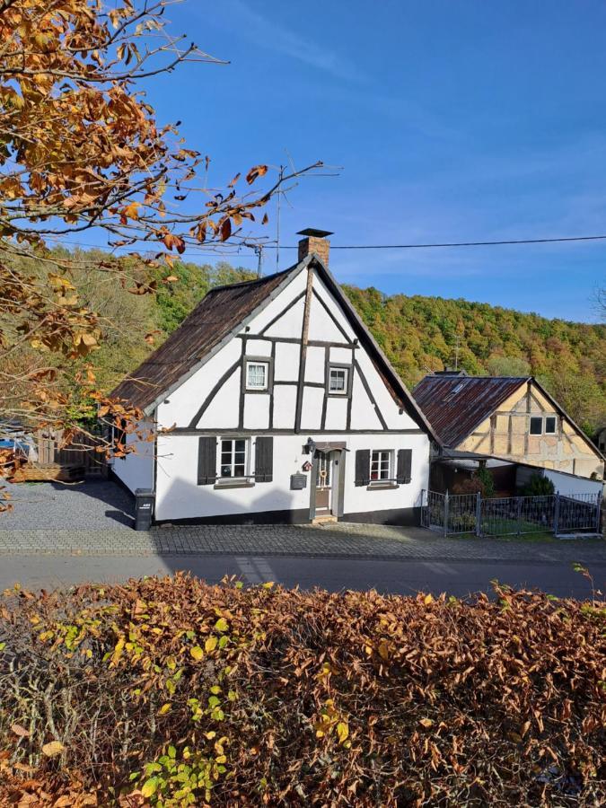 Landhaus Eifel Demerath Eksteriør bilde