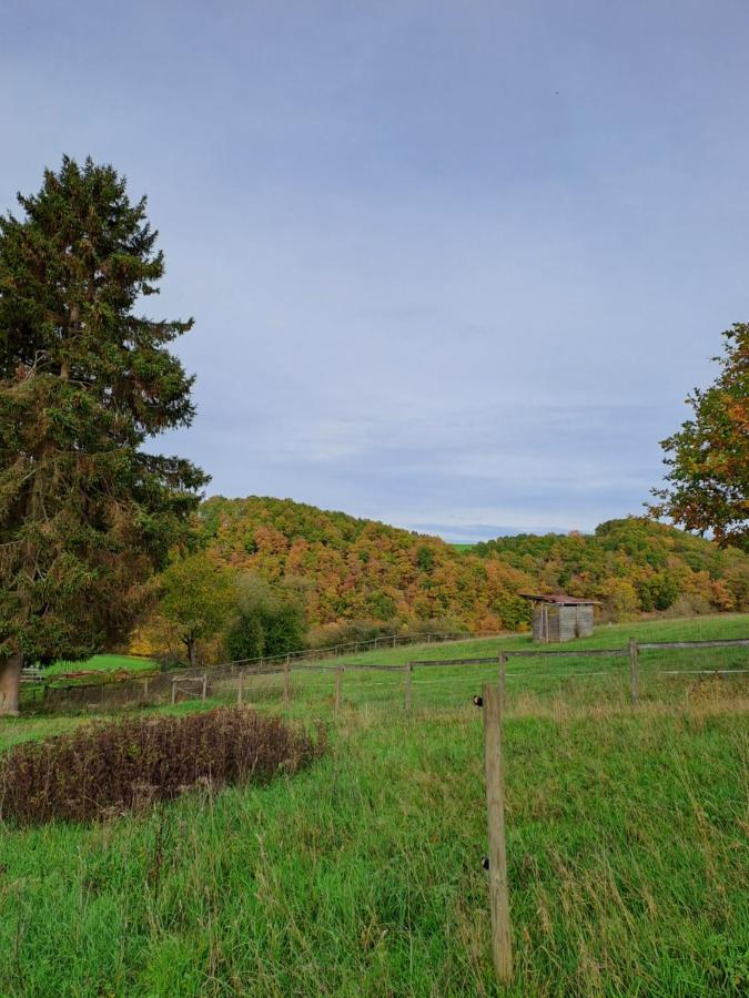 Landhaus Eifel Demerath Eksteriør bilde