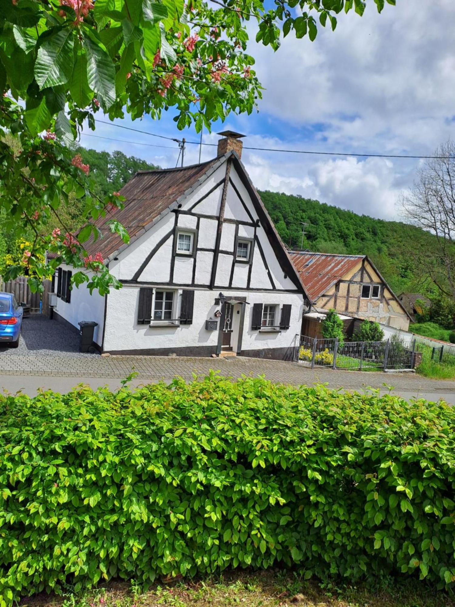Landhaus Eifel Demerath Eksteriør bilde